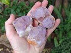 Natural Spirit Amethyst Clusters x 12 From Boekenhouthoek, South Africa - Toprock Gemstones and Minerals 