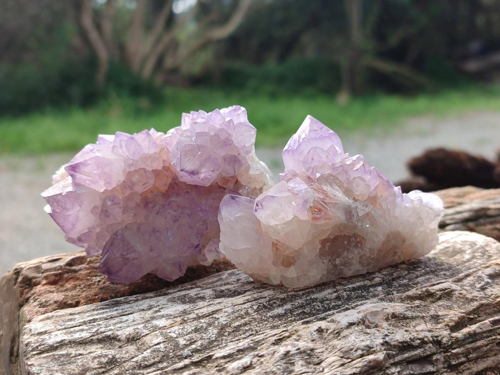 Natural Spirit Amethyst Clusters x 12 From Boekenhouthoek, South Africa - Toprock Gemstones and Minerals 