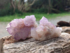 Natural Spirit Amethyst Clusters x 12 From Boekenhouthoek, South Africa - Toprock Gemstones and Minerals 