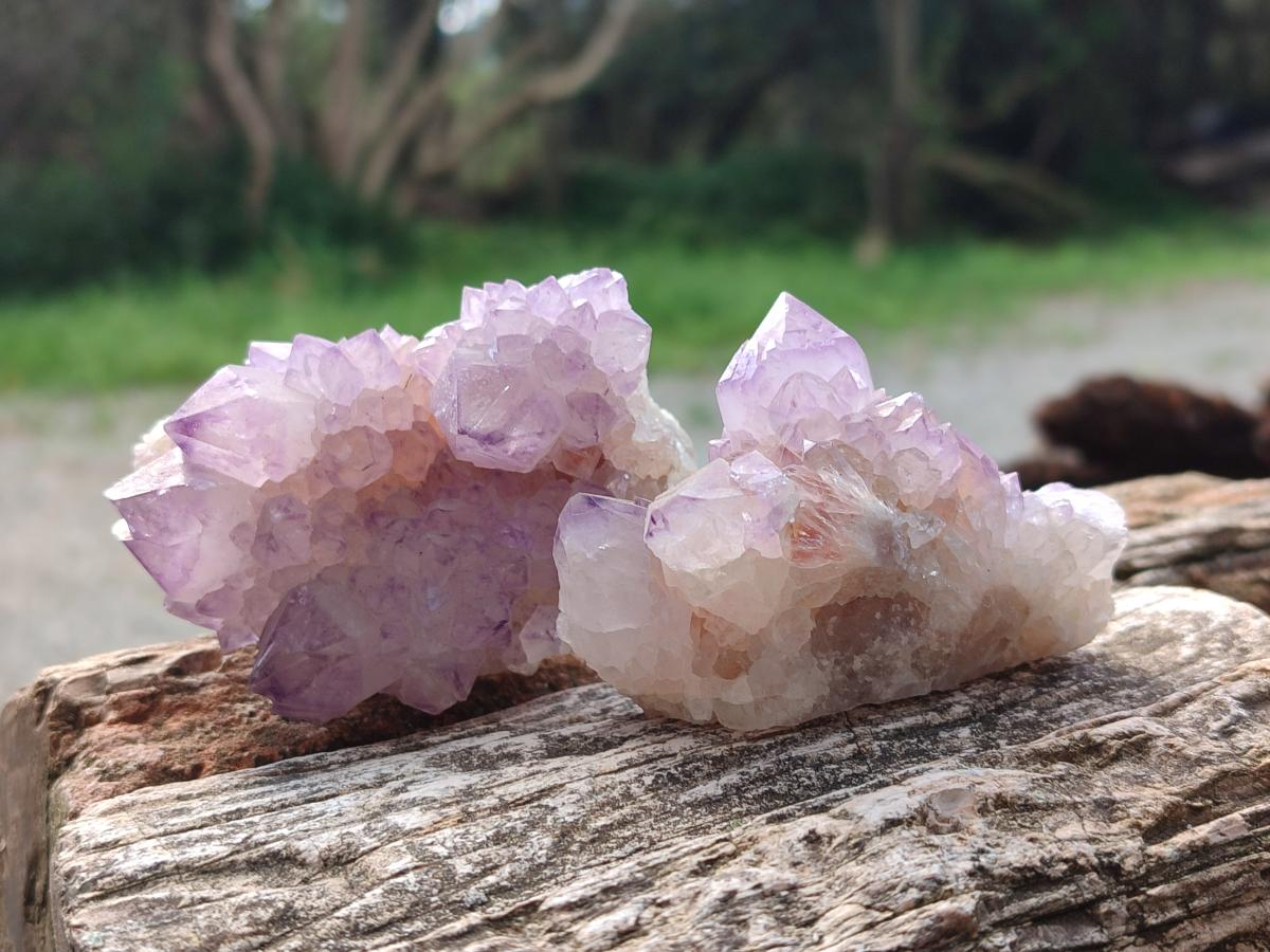 Natural Spirit Amethyst Clusters x 12 From Boekenhouthoek, South Africa - Toprock Gemstones and Minerals 