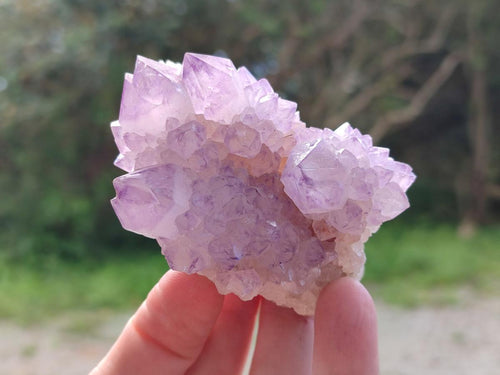 Natural Spirit Amethyst Clusters x 12 From Boekenhouthoek, South Africa - Toprock Gemstones and Minerals 