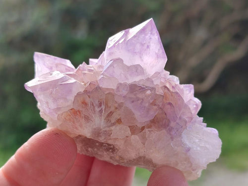 Natural Spirit Amethyst Clusters x 12 From Boekenhouthoek, South Africa - Toprock Gemstones and Minerals 