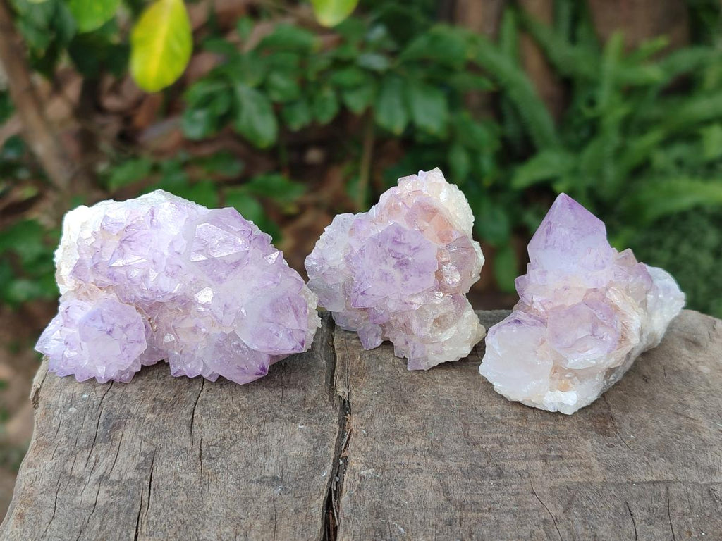 Natural Spirit Amethyst Clusters x 12 From Boekenhouthoek, South Africa - Toprock Gemstones and Minerals 