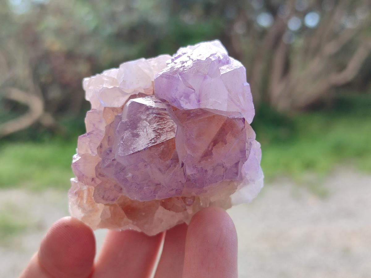 Natural Spirit Amethyst Clusters x 12 From Boekenhouthoek, South Africa - Toprock Gemstones and Minerals 