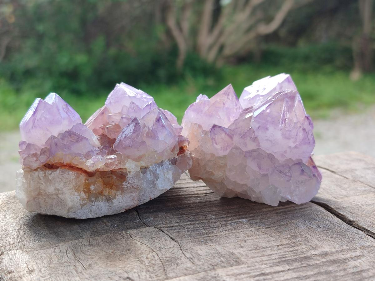 Natural Spirit Amethyst Clusters x 12 From Boekenhouthoek, South Africa - Toprock Gemstones and Minerals 