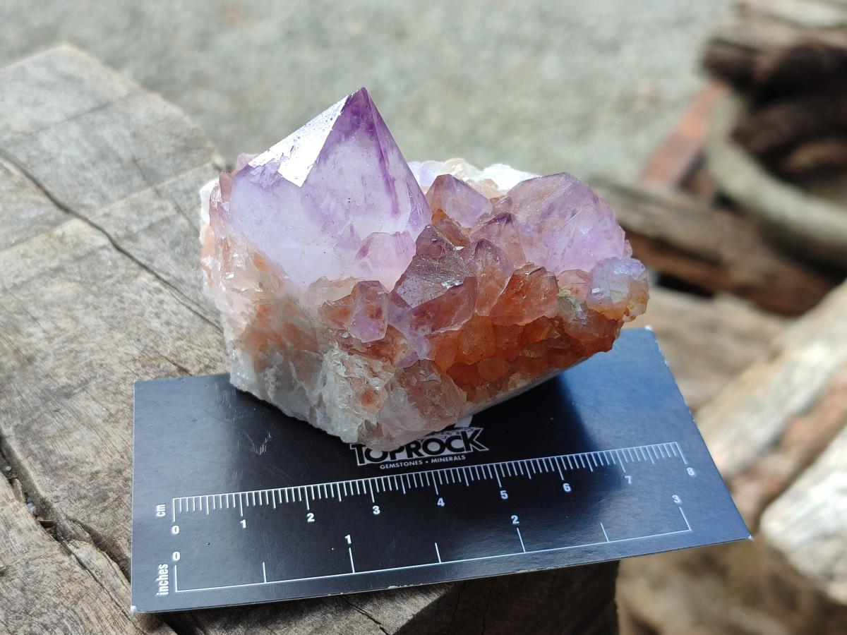 Natural Spirit Amethyst Clusters x 12 From Boekenhouthoek, South Africa - Toprock Gemstones and Minerals 