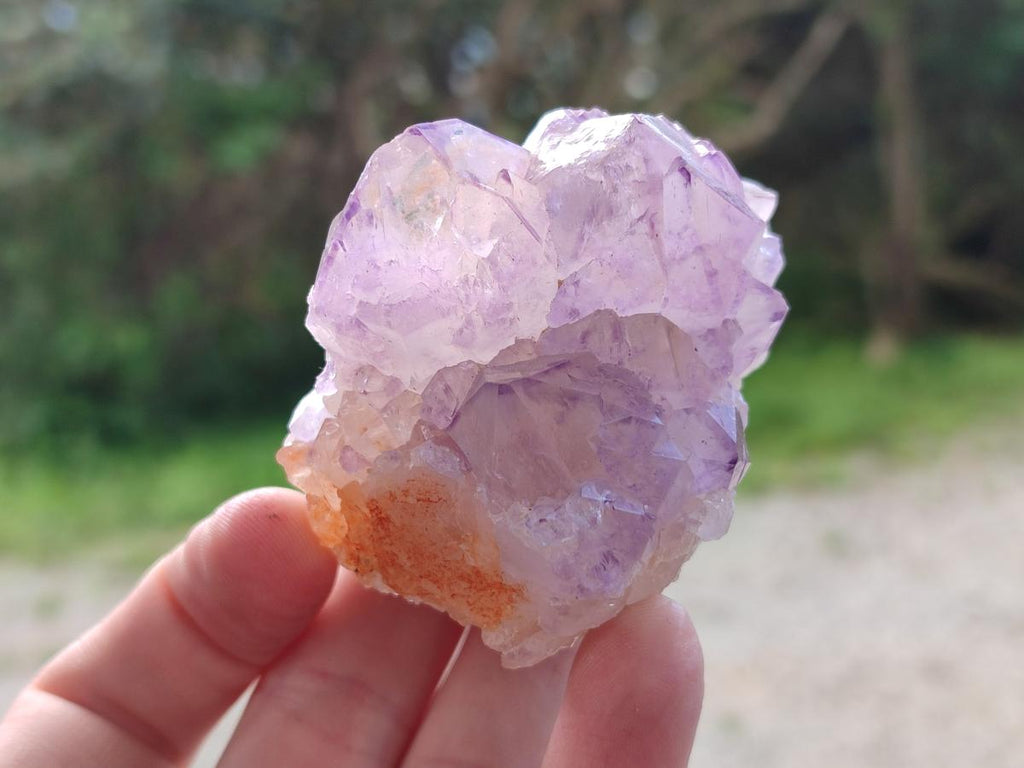 Natural Spirit Amethyst Clusters x 12 From Boekenhouthoek, South Africa - Toprock Gemstones and Minerals 