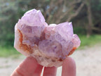 Natural Spirit Amethyst Clusters x 12 From Boekenhouthoek, South Africa - Toprock Gemstones and Minerals 