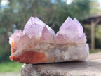 Natural Spirit Amethyst Clusters x 12 From Boekenhouthoek, South Africa - Toprock Gemstones and Minerals 