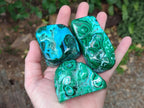 Polished Malacolla Free Forms x 6 From Kulukuluku, Congo - Toprock Gemstones and Minerals 