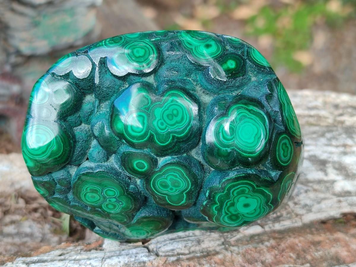 Polished Malacolla Free Forms x 6 From Kulukuluku, Congo - Toprock Gemstones and Minerals 