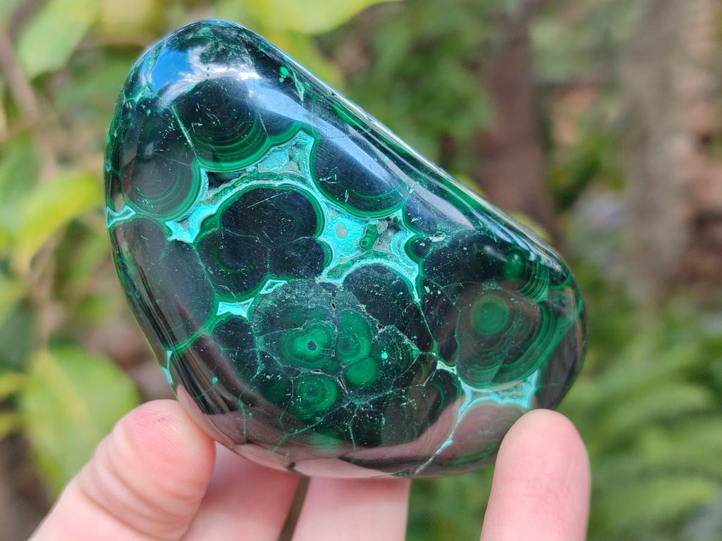 Polished Malacolla Free Forms x 6 From Kulukuluku, Congo - Toprock Gemstones and Minerals 