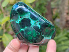 Polished Malacolla Free Forms x 6 From Kulukuluku, Congo - Toprock Gemstones and Minerals 