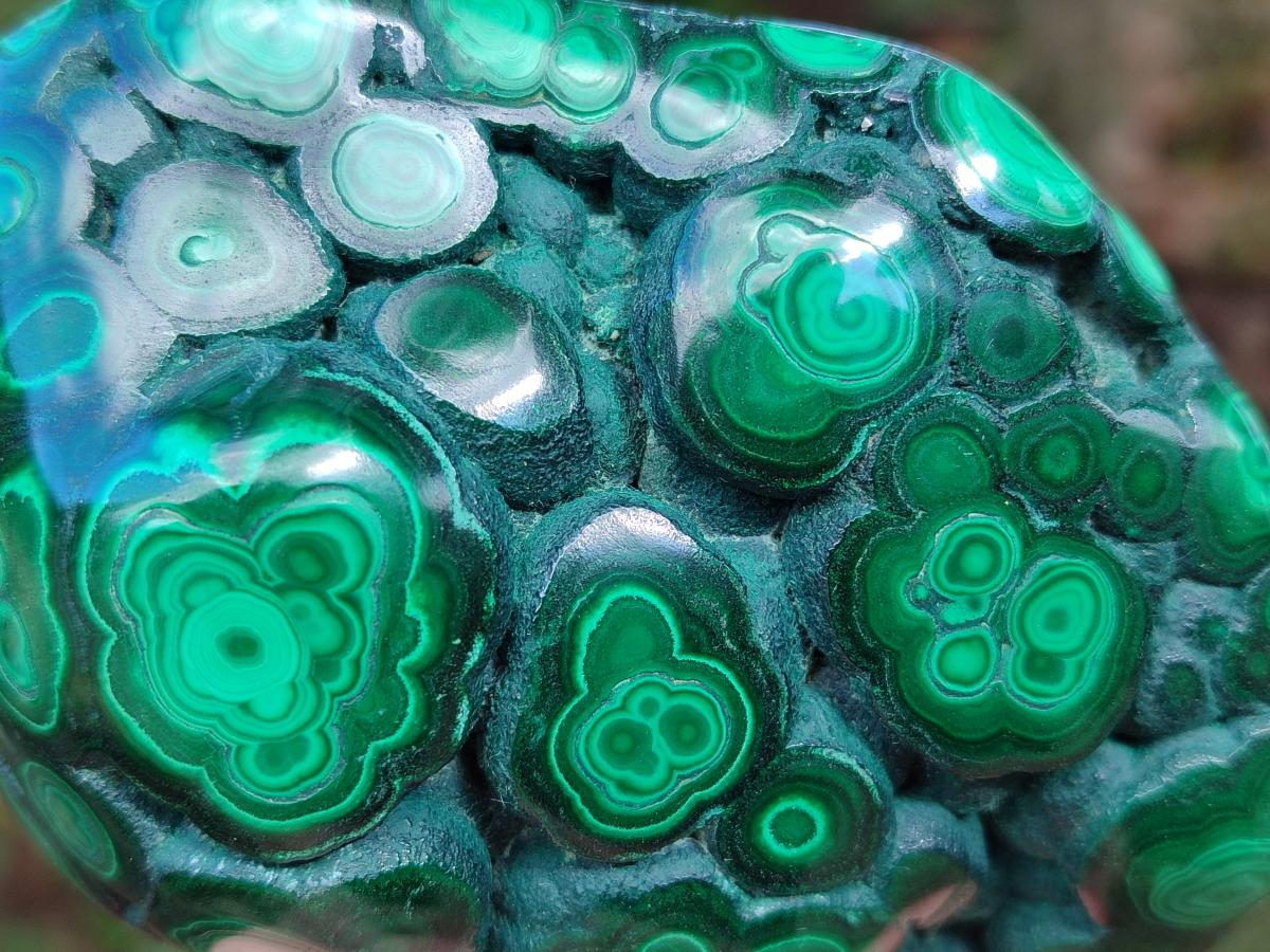 Polished Malacolla Free Forms x 6 From Kulukuluku, Congo - Toprock Gemstones and Minerals 