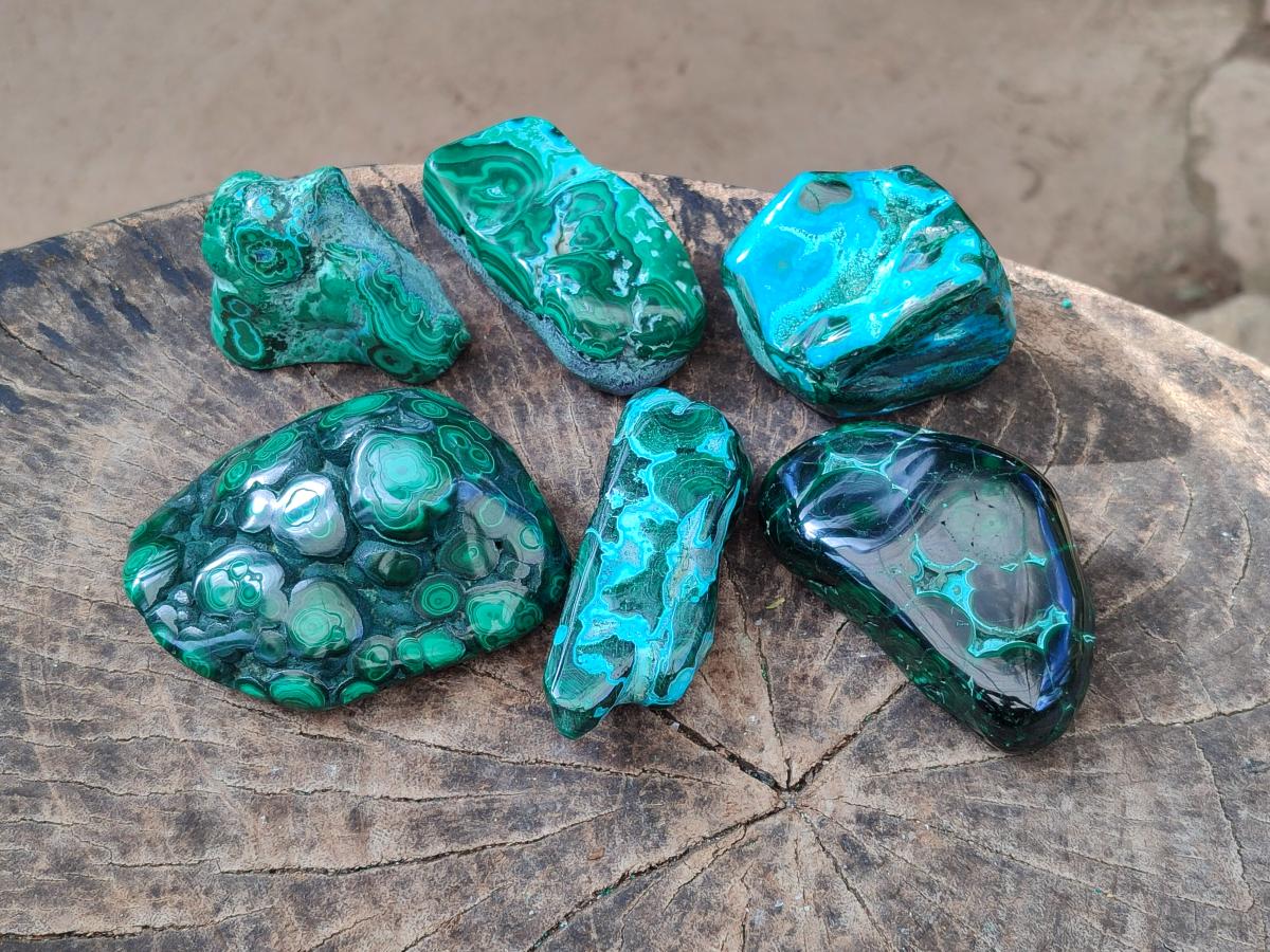 Polished Malacolla Free Forms x 6 From Kulukuluku, Congo - Toprock Gemstones and Minerals 