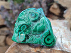 Polished Malacolla Free Forms x 6 From Kulukuluku, Congo - Toprock Gemstones and Minerals 