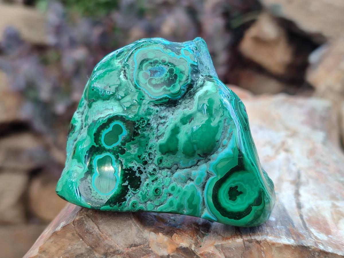 Polished Malacolla Free Forms x 6 From Kulukuluku, Congo - Toprock Gemstones and Minerals 