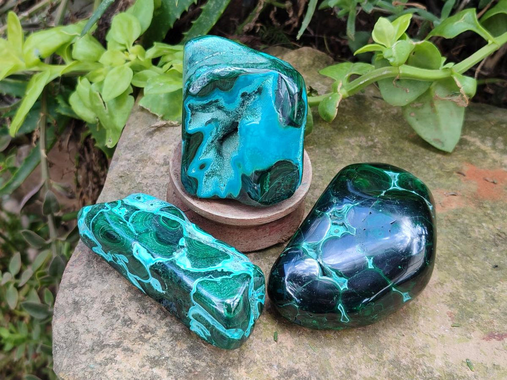 Polished Malacolla Free Forms x 6 From Kulukuluku, Congo - Toprock Gemstones and Minerals 