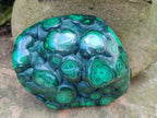 Polished Malacolla Free Forms x 6 From Kulukuluku, Congo - Toprock Gemstones and Minerals 