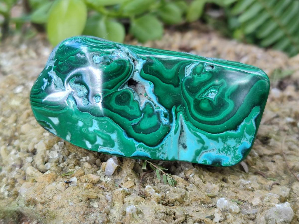 Polished Malacolla Free Forms x 6 From Kulukuluku, Congo - Toprock Gemstones and Minerals 
