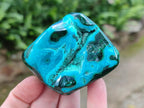 Polished Malacolla Free Forms x 6 From Kulukuluku, Congo - Toprock Gemstones and Minerals 