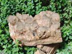 Natural XL Cascading White Phantom Smokey Luena Quartz Cluster x 1 From Luena, Congo - Toprock Gemstones and Minerals 