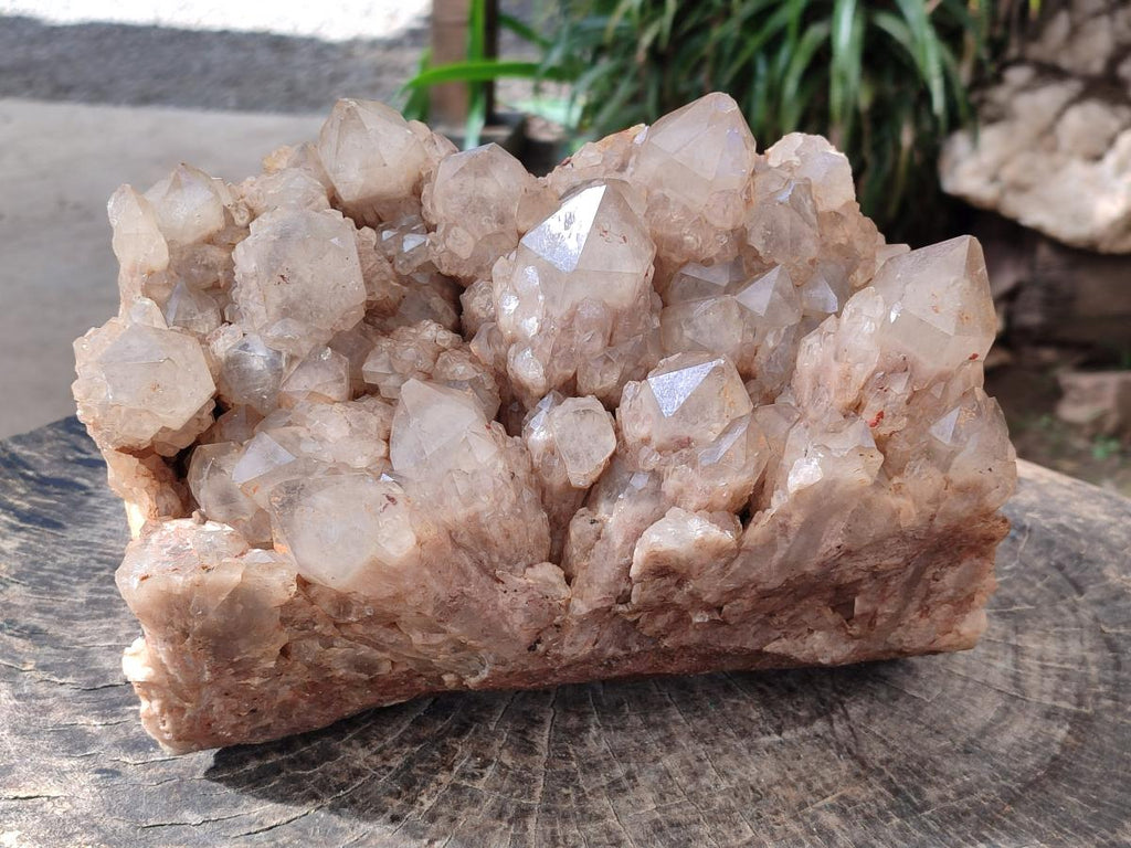 Natural XL Cascading White Phantom Smokey Luena Quartz Cluster x 1 From Luena, Congo - Toprock Gemstones and Minerals 