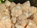 Natural XL Cascading White Phantom Smokey Luena Quartz Cluster x 1 From Luena, Congo - Toprock Gemstones and Minerals 