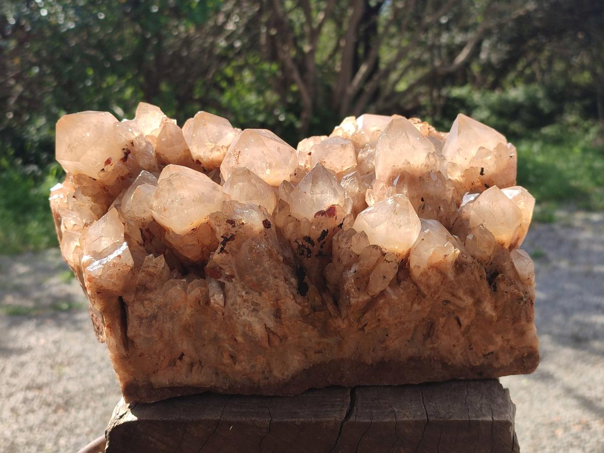 Natural XL Cascading White Phantom Smokey Luena Quartz Cluster x 1 From Luena, Congo - Toprock Gemstones and Minerals 