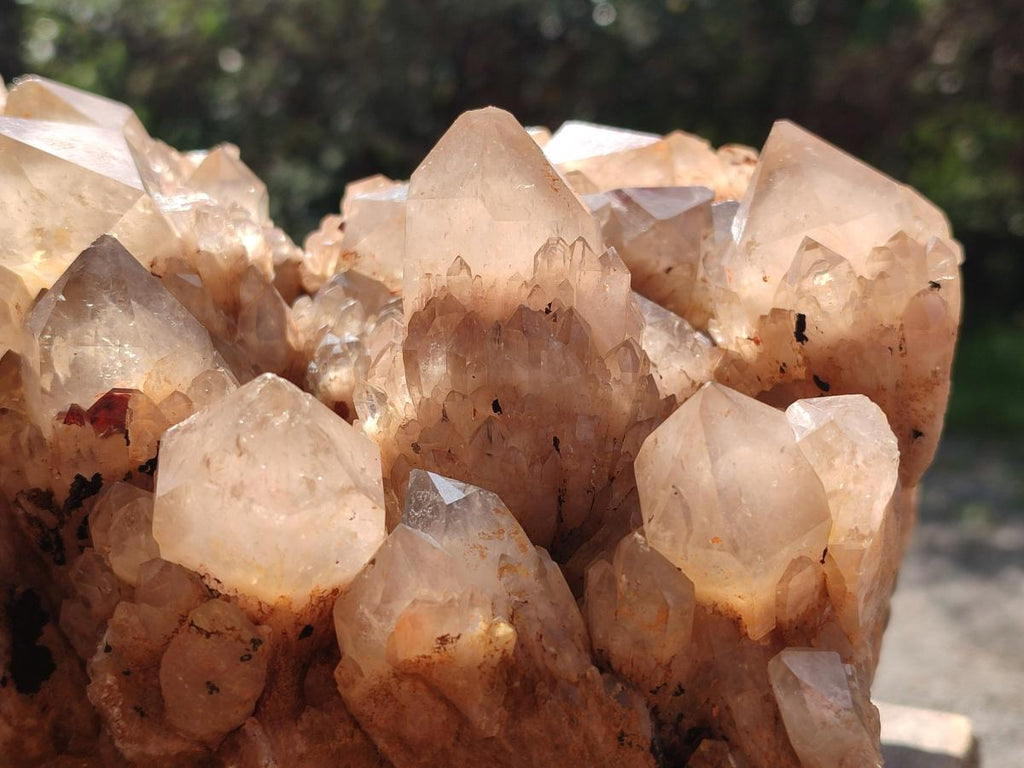 Natural XL Cascading White Phantom Smokey Luena Quartz Cluster x 1 From Luena, Congo - Toprock Gemstones and Minerals 