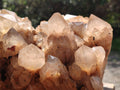 Natural XL Cascading White Phantom Smokey Luena Quartz Cluster x 1 From Luena, Congo - Toprock Gemstones and Minerals 