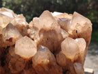 Natural XL Cascading White Phantom Smokey Luena Quartz Cluster x 1 From Luena, Congo - Toprock Gemstones and Minerals 