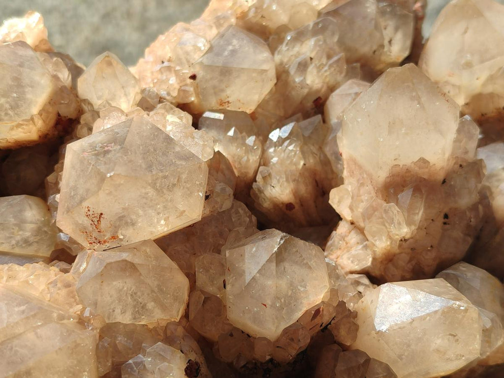 Natural XL Cascading White Phantom Smokey Luena Quartz Cluster x 1 From Luena, Congo - Toprock Gemstones and Minerals 