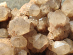 Natural XL Cascading White Phantom Smokey Luena Quartz Cluster x 1 From Luena, Congo - Toprock Gemstones and Minerals 