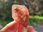 Natural Red Hematoid Quartz Crystals x 35 From Karoi, Zimbabwe - Toprock Gemstones and Minerals 