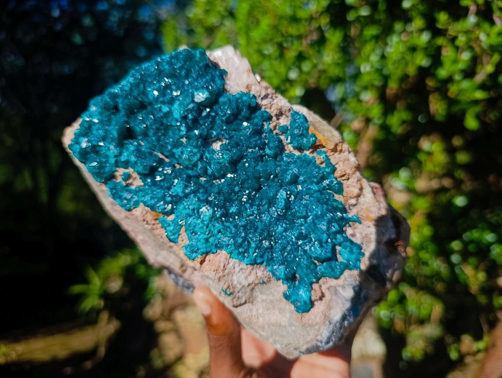 Natural XL Dioptase on Dolomite Specimen x 1 From Likasi, Congo - Toprock Gemstones and Minerals 