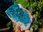 Natural XL Dioptase on Dolomite Specimen x 1 From Likasi, Congo - Toprock Gemstones and Minerals 