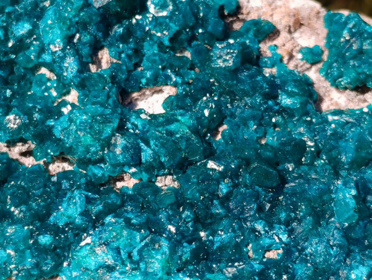 Natural XL Dioptase on Dolomite Specimen x 1 From Likasi, Congo - Toprock Gemstones and Minerals 