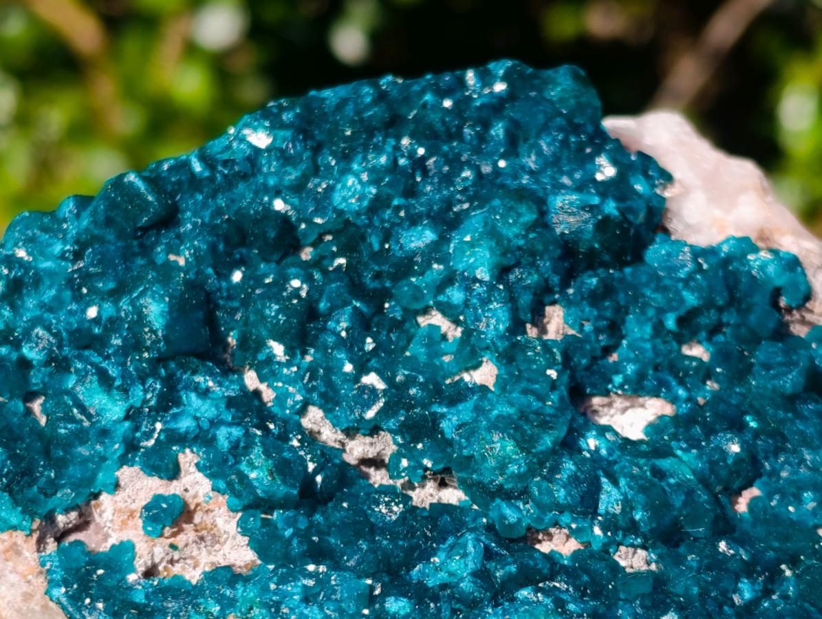 Natural XL Dioptase on Dolomite Specimen x 1 From Likasi, Congo - Toprock Gemstones and Minerals 