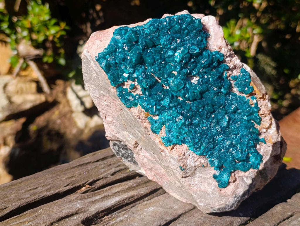 Natural XL Dioptase on Dolomite Specimen x 1 From Likasi, Congo - Toprock Gemstones and Minerals 