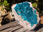 Natural XL Dioptase on Dolomite Specimen x 1 From Likasi, Congo - Toprock Gemstones and Minerals 