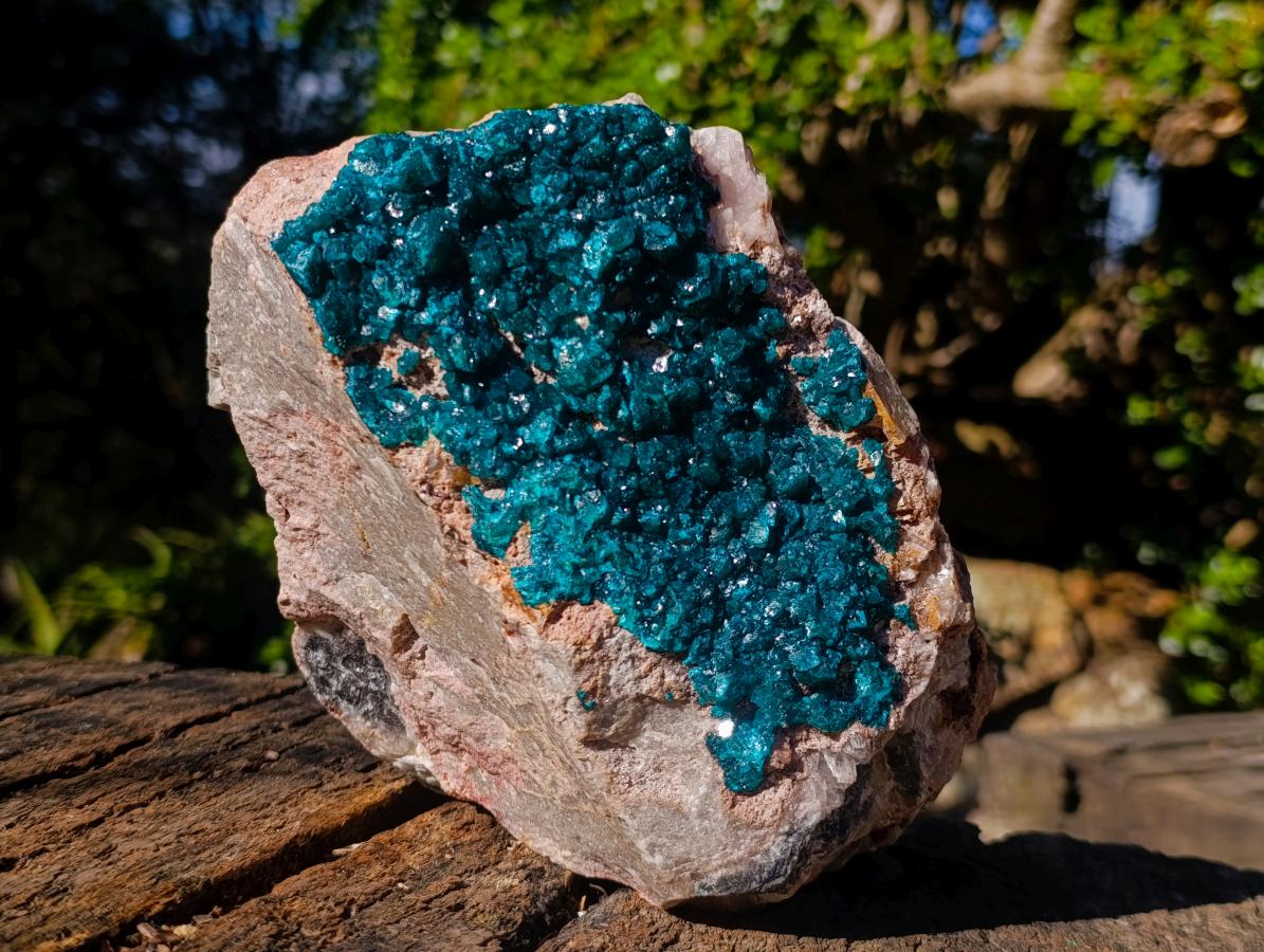 Natural XL Dioptase on Dolomite Specimen x 1 From Likasi, Congo - Toprock Gemstones and Minerals 