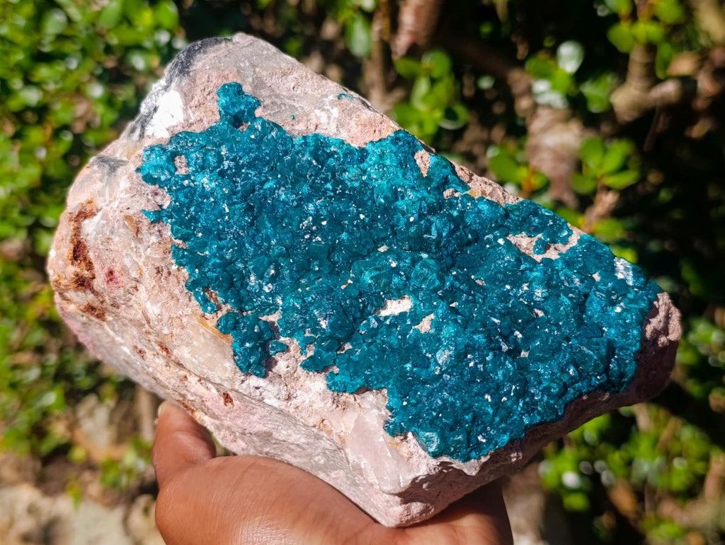 Natural XL Dioptase on Dolomite Specimen x 1 From Likasi, Congo - Toprock Gemstones and Minerals 