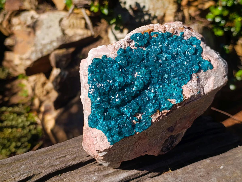 Natural XL Dioptase on Dolomite Specimen x 1 From Likasi, Congo - Toprock Gemstones and Minerals 