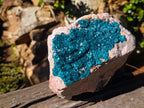 Natural XL Dioptase on Dolomite Specimen x 1 From Likasi, Congo - Toprock Gemstones and Minerals 
