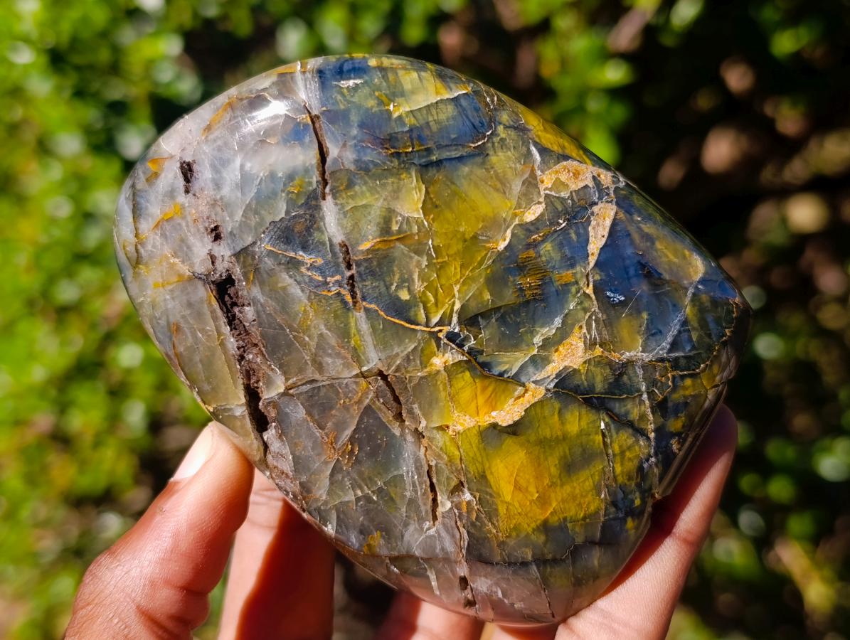 Polished Nellite Tigers Eye Standing Display Pieces x 3 From Prieska, South Africa - Toprock Gemstones and Minerals 