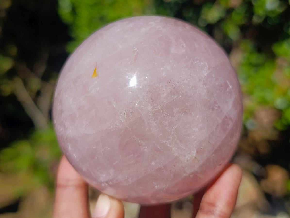 Polished Gemmy Star Rose Quartz Spheres x 2 From Madagascar - Toprock Gemstones and Minerals 