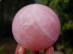 Polished Gemmy Star Rose Quartz Spheres x 2 From Madagascar - Toprock Gemstones and Minerals 