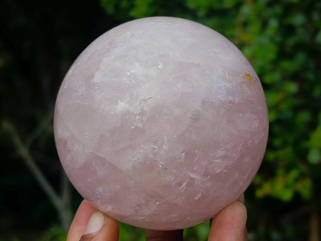 Polished Gemmy Star Rose Quartz Spheres x 2 From Madagascar - Toprock Gemstones and Minerals 