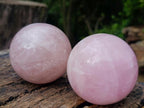 Polished Gemmy Star Rose Quartz Spheres x 2 From Madagascar - Toprock Gemstones and Minerals 